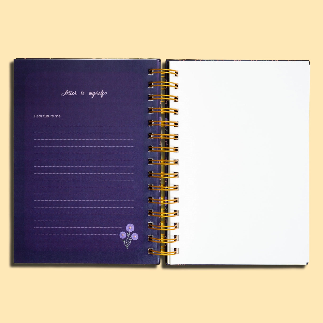 Sep - Aster