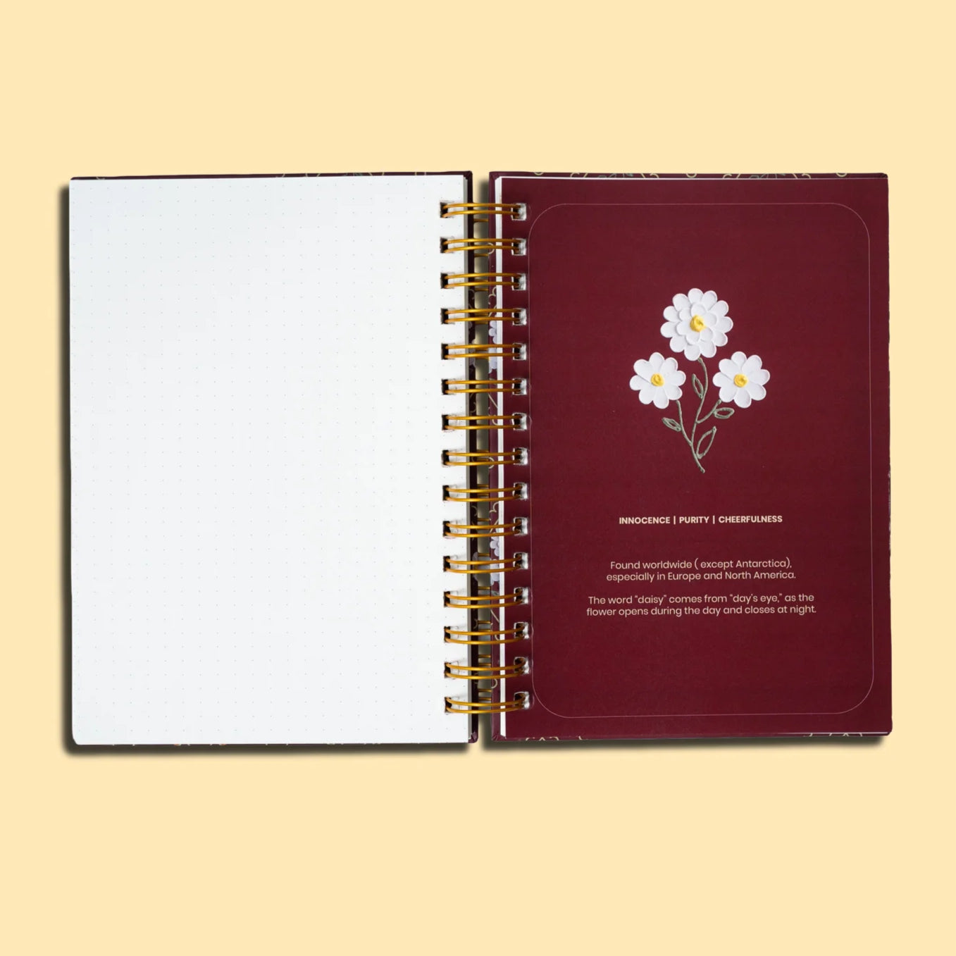 Apr - Daisy